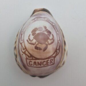Zodiak Tiger Cowry Seashell Scrimshaw Carved Cancer Crab Cypraea Vintage Beach